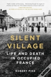 Capa do artigo Silent Village