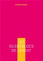 Silentblocs De Nuit - Preview