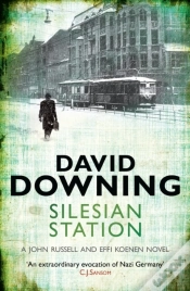 Capa do artigo Silesian Station