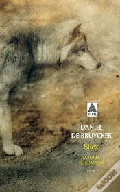Capa do artigo Silex ; La Tombe Du Chasseur