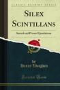 Silex Scintillans - Preview