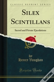 Capa do artigo Silex Scintillans