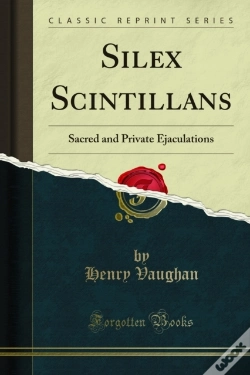 Capa do artigo Silex Scintillans