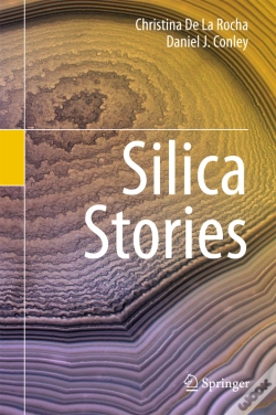 Capa do artigo Silica Stories