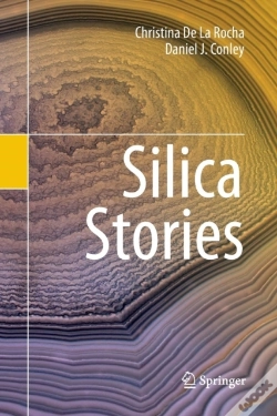 Capa do artigo Silica Stories