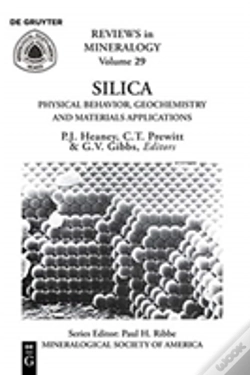 Capa do artigo Silica