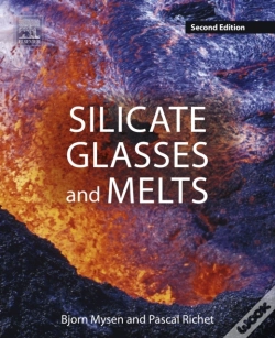 Capa do artigo Silicate Glasses And Melts