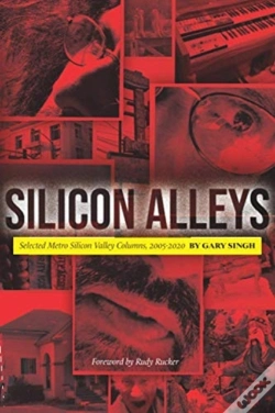 Capa do artigo Silicon Alleys