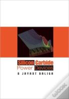Silicon Carbide Power Devices