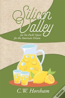 Capa do artigo Silicon Valley