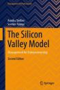 Silicon Valley Model - Preview