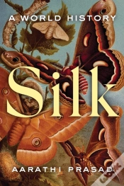 Capa do artigo Silk