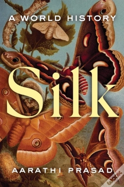 Capa do artigo Silk