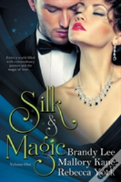 Capa do artigo Silk And Magic Book One