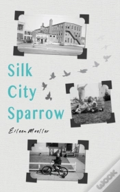 Capa do artigo Silk City Sparrow