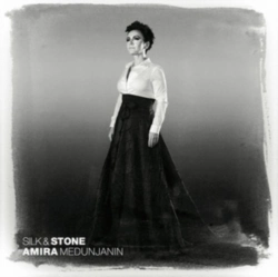 Capa do artigo Silk & Stone - CD