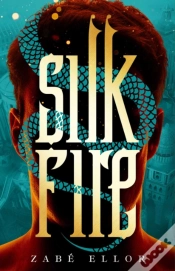 Capa do artigo Silk Fire