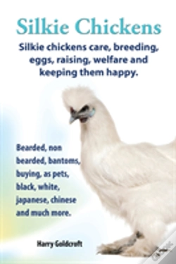 Capa do artigo Silkie Chickens