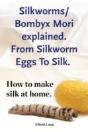 Silkworm Bombyx Mori Explained. From Sil - Preview