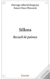 Capa do artigo Sillons