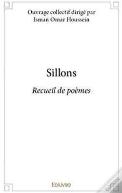 Capa do artigo Sillons