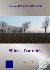 Capa do artigo Sillons D