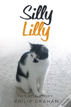 Capa do artigo Silly Lilly