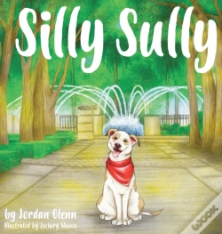 Capa do artigo Silly Sully