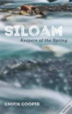 Capa do artigo Siloam