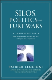Capa do artigo Silos, Politics And Turf Wars