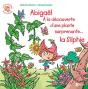 Silphie - Lutin Conseil - Preview