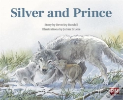 Capa do artigo Silver And Prince