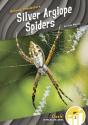 Silver Argiope Spiders - Preview