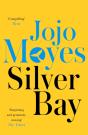 Silver Bay - Preview