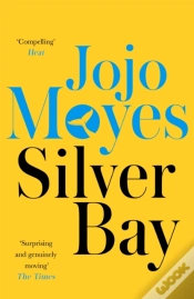 Capa do artigo Silver Bay