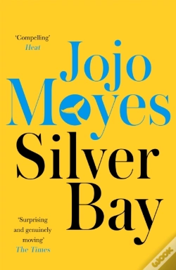 Capa do artigo Silver Bay