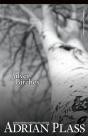 Silver Birches - Preview