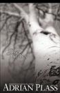 Silver Birches - Preview
