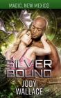 Silver Bound - Preview