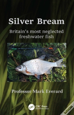 Capa do artigo Silver Bream