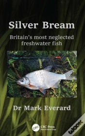 Capa do artigo Silver Bream