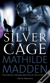 Capa do artigo Silver Cage