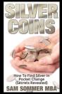 Silver Coins - Preview