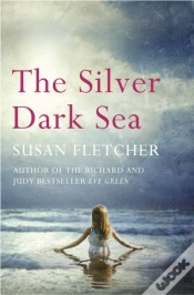 Capa do artigo Silver Dark Sea