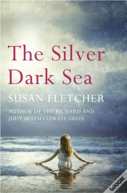 Capa do artigo Silver Dark Sea