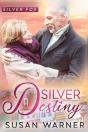 Silver Destiny - Preview