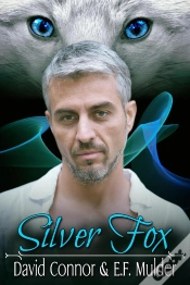 Capa do artigo Silver Fox