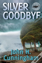 Capa do artigo Silver Goodbye