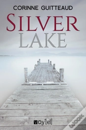 Capa do artigo Silver Lake