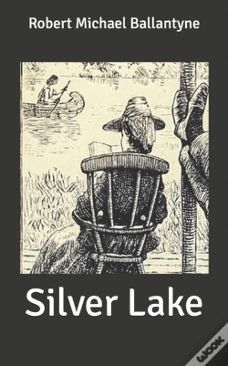 Capa do artigo Silver Lake